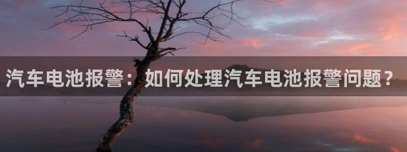 优发国际平台u8