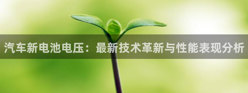 优发国际线上娱官网
