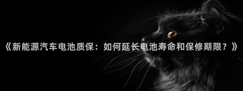 优发国际是什么