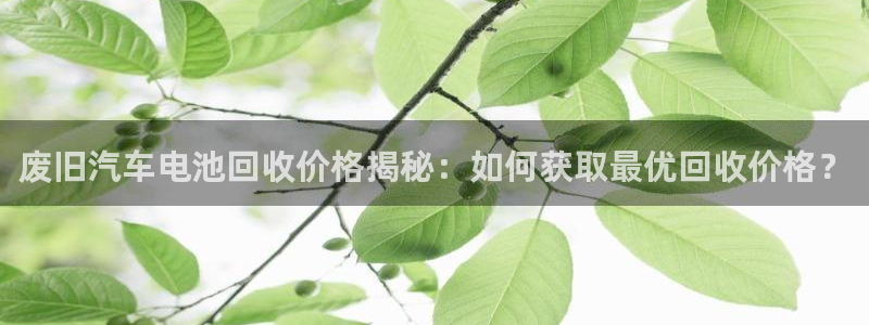优发国际手机客户端下载安装