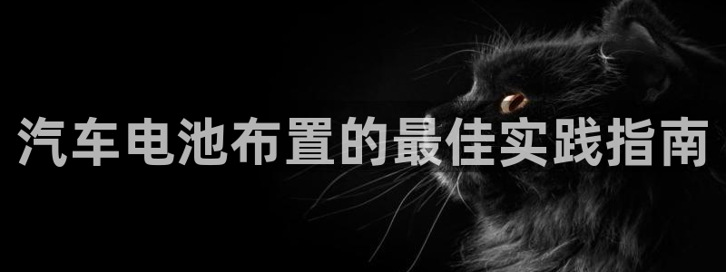 优发国际集团股份有限公司招聘