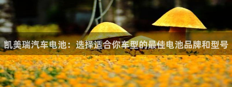 优发国际app官网下载安装苹果