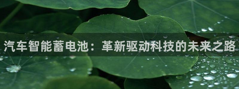 优发国际官方网