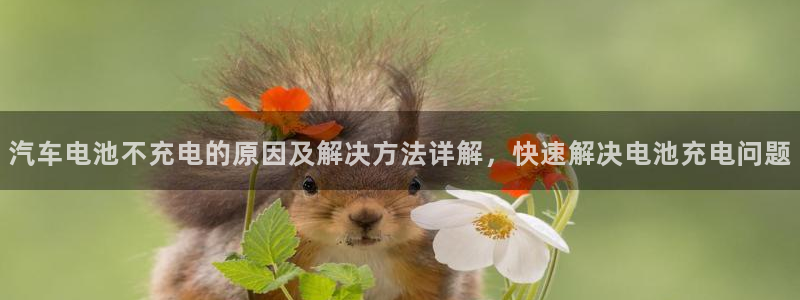 优发国际平台u8怎么样