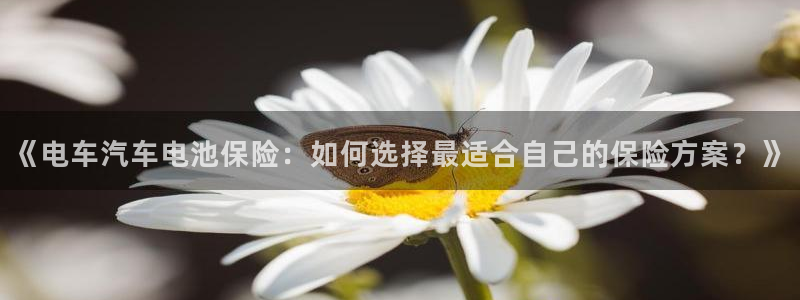 优发国际官网网站