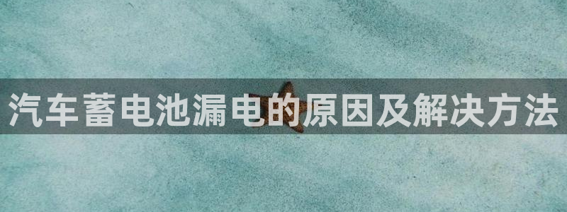 优发国际手机客户端下载安卓