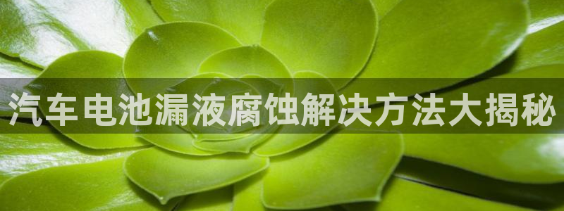 优发国际手机版客户端下载