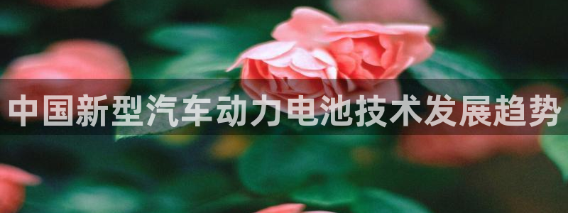 优发国际官网下载
