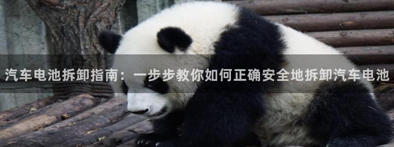 优发国际平台g80