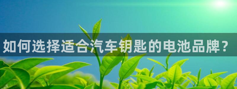 优发国际集团股份有限公司