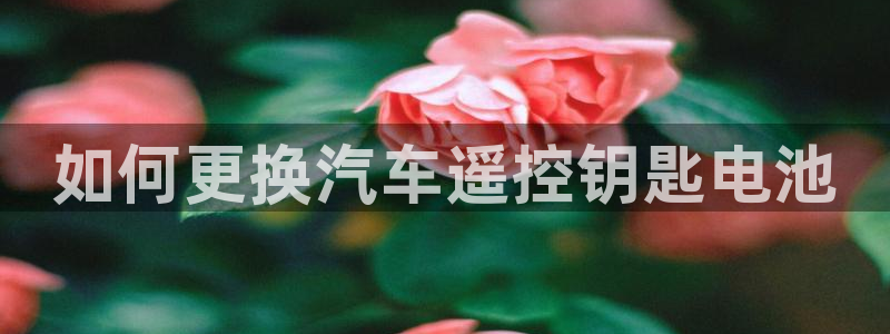 优发国际线上娱官网