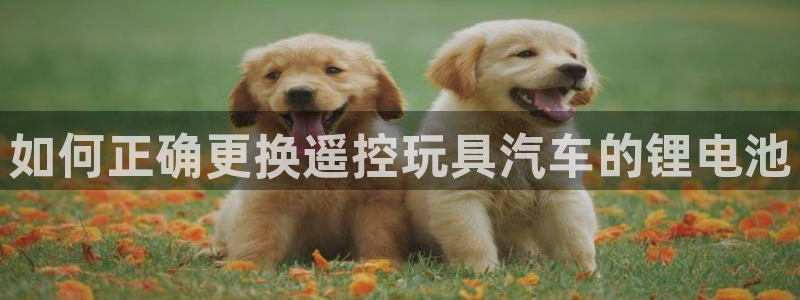 优发国际怎么样