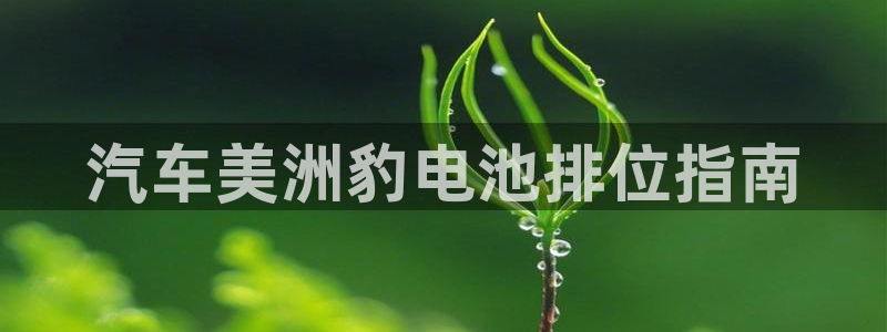 优发国际电话