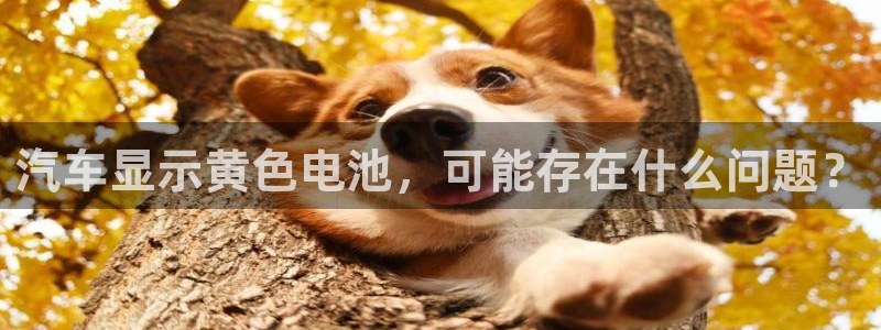 优发国际是真的吗