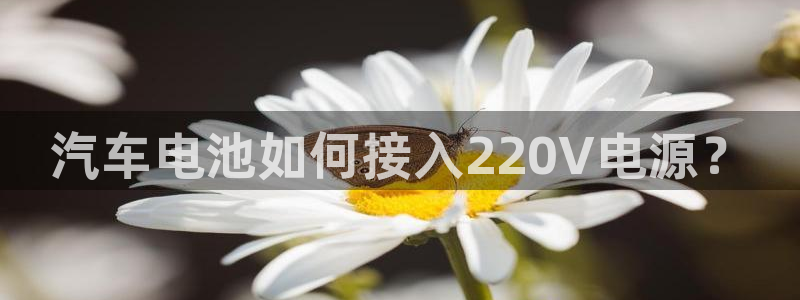 优发国际youfa