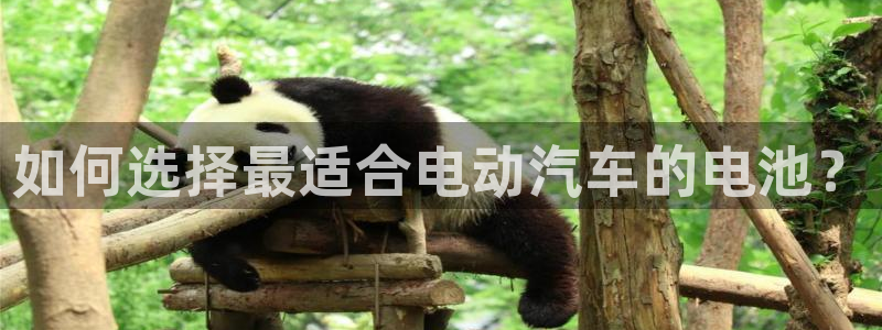 优发国际-触即发