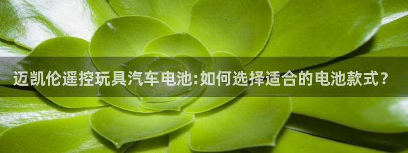 优发国际下载