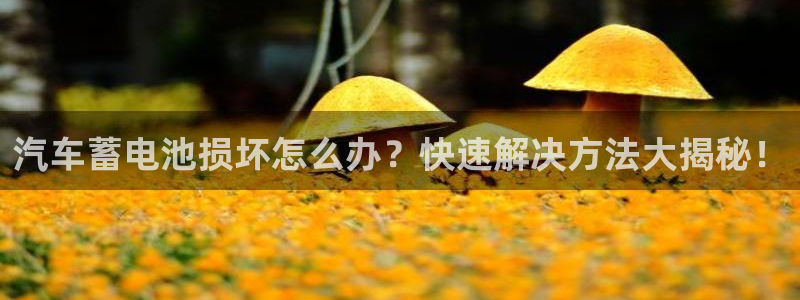 优发国际安卓版下载安装苹果