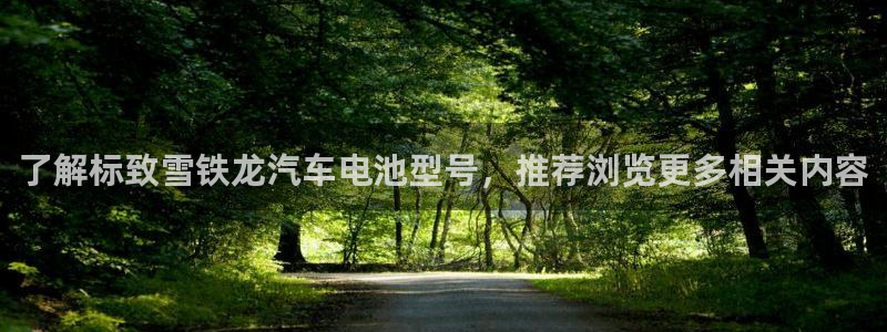 优发国际手机app下载安装