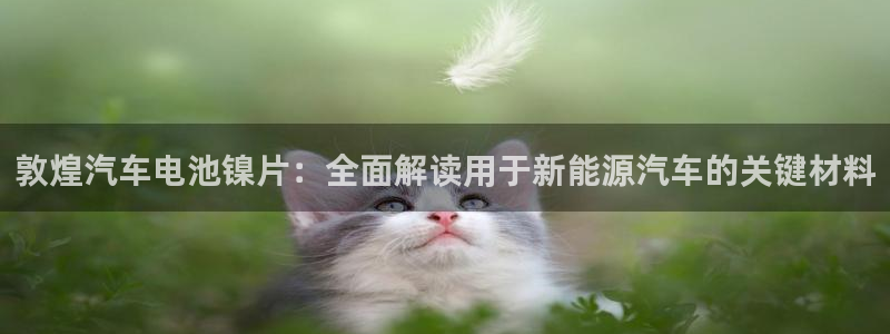 优发国际官方网手机版下载
