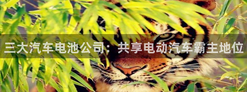 优发国际app官网下载安装