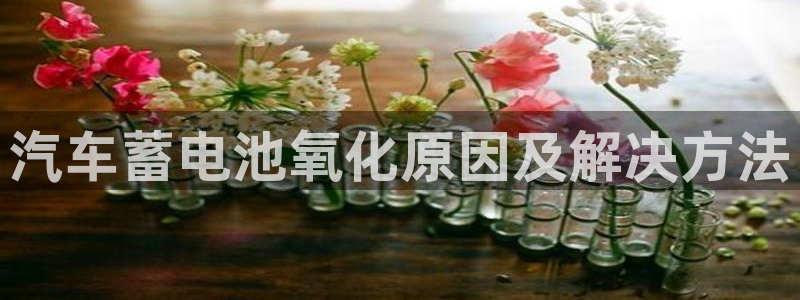 优发国际平台u8怎么样
