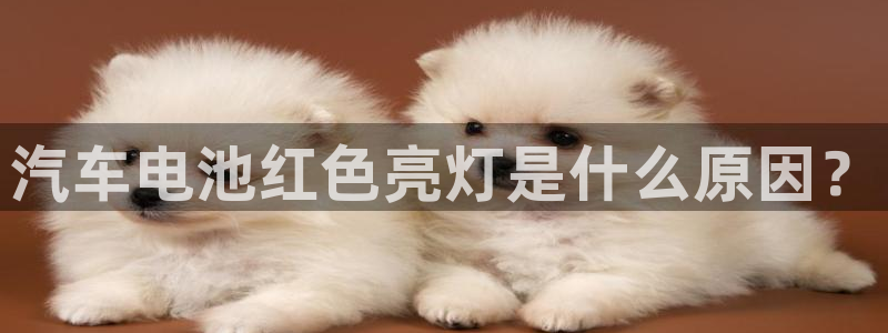 优发国际手机版客户端下载安装