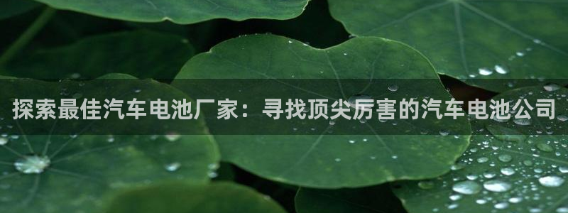 优发国际网页：探索最佳汽车电池厂家：寻找顶尖厉害的汽车电池公司