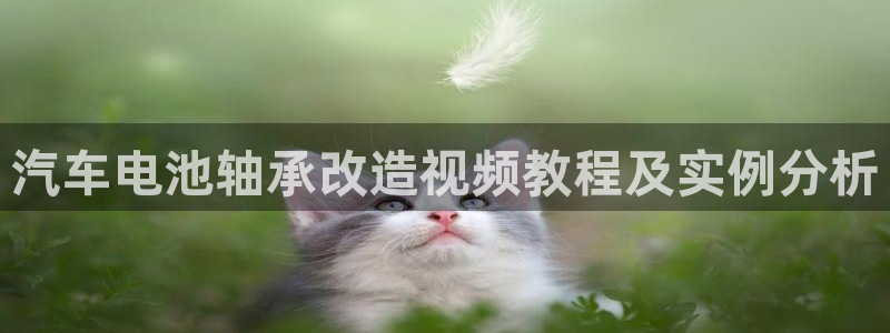 优发国际平台u8是什么软件