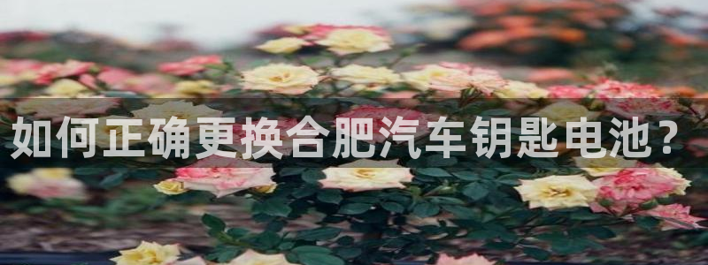 优发国际首页首页y6