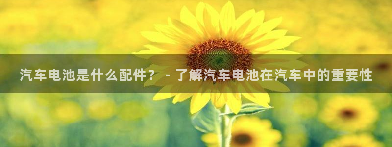 优发国际是什么
