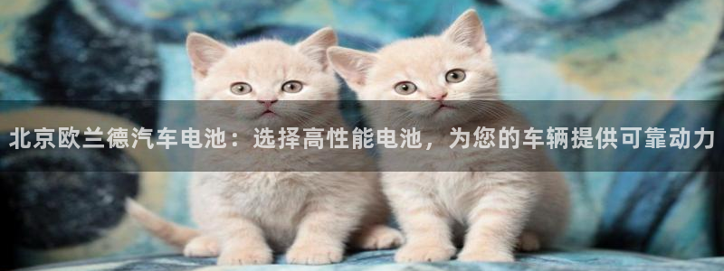 优发国际亚洲平台