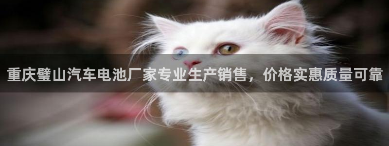 优发国际官方网手机版下载苹果