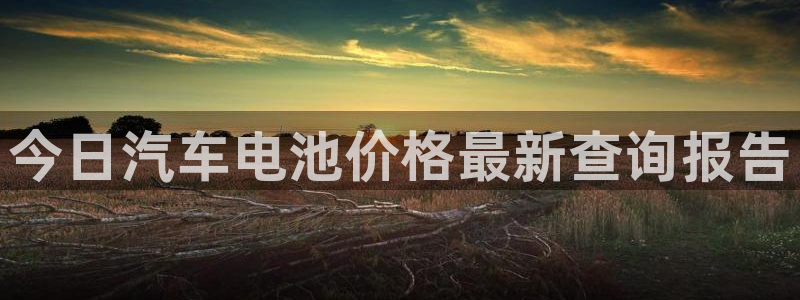 优发国际娱乐官网多少?：今日汽车电池价格最新查询报告