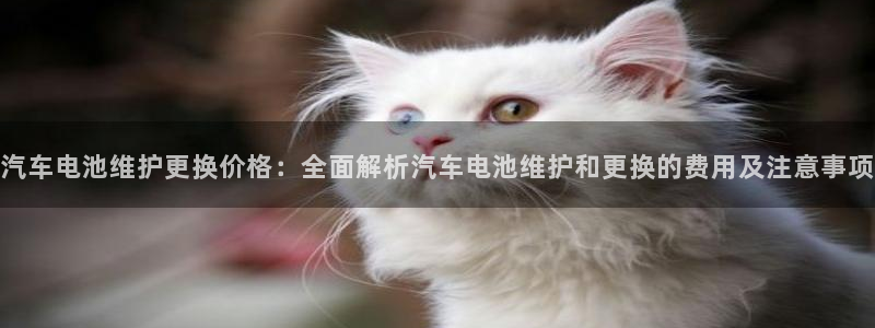优发国际手机客户端官网