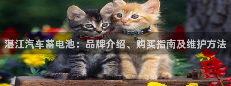 优发国际这个平台怎么样知乎
