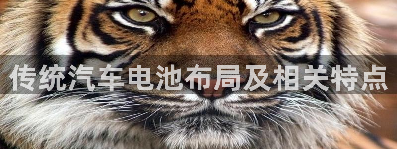 优发国际客服联系方式查询