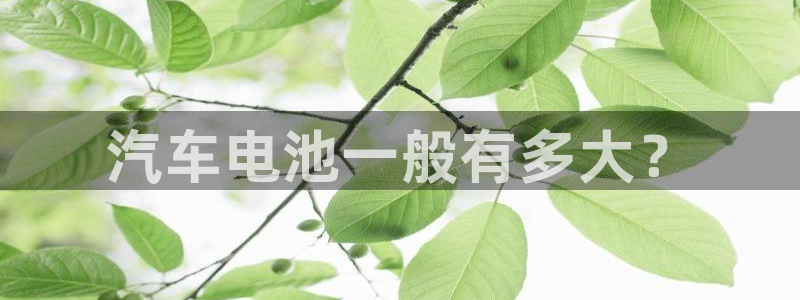 优发国际app