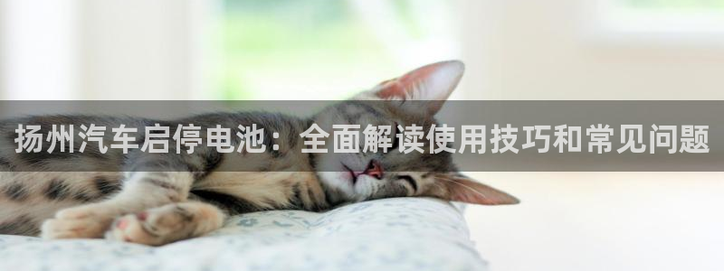 优发国际手机版下载安装