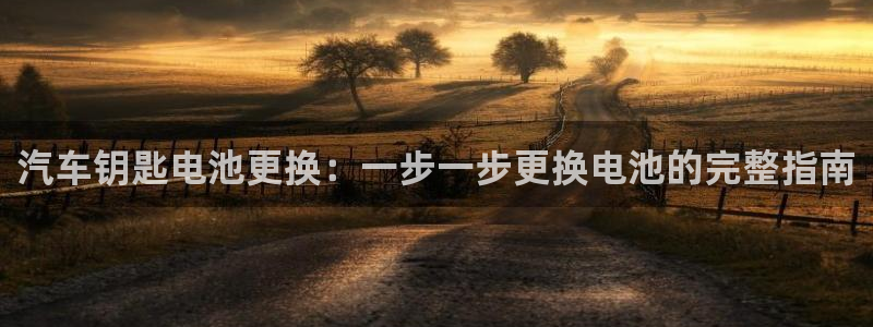 优发国际手机客户端官网首页：汽车钥匙电池更换：一步一步更换电池的完整指南