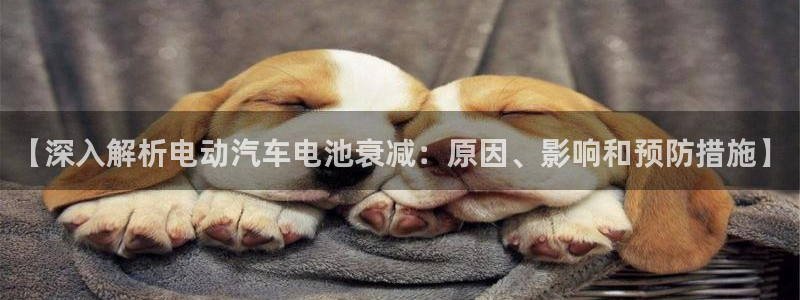 优发国际网站多少