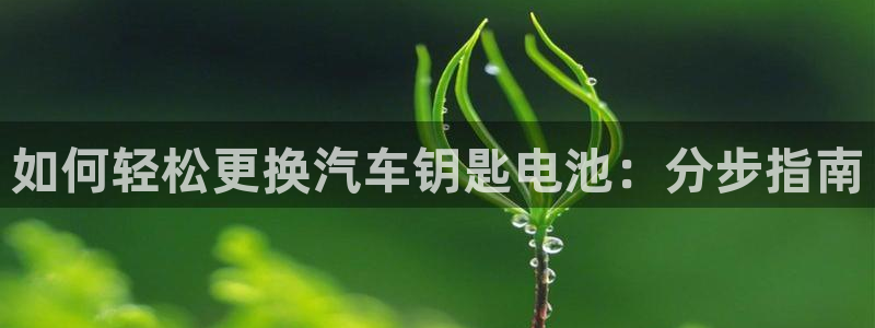 优发国际手机版客户端：如何轻松更换汽车钥匙电池：分步指南