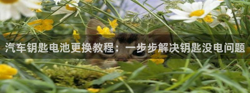 优发国际官方网平台