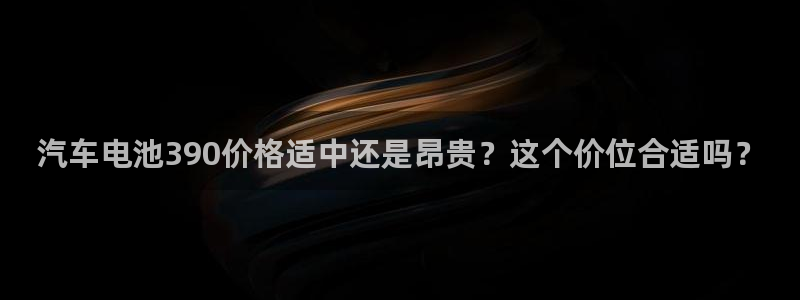 优发国际的官网是什么：汽车电池390价格适中还是昂贵？这个价位合适吗？