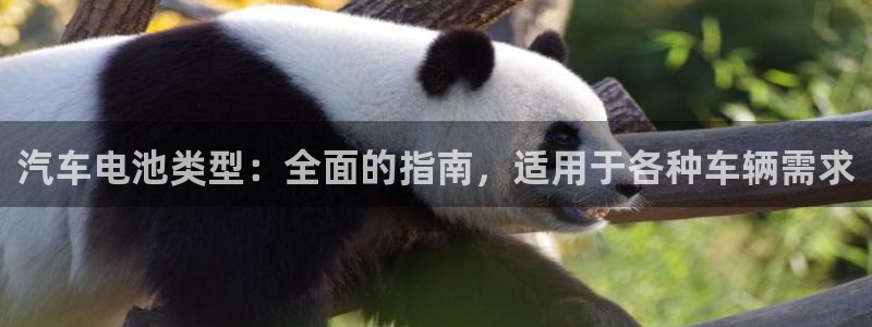 优发国际手机客户端官网