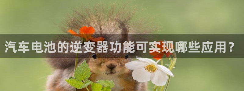优发国际手机登录下载安装