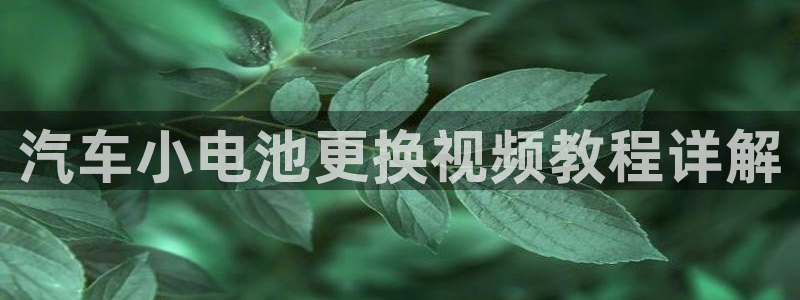 优发国际下载安装