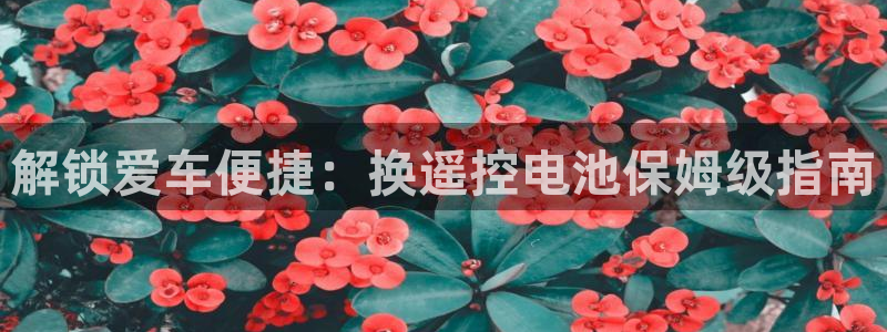 优发国际最新网站下载