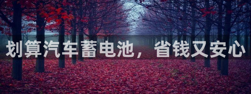优发国际官网手机版app