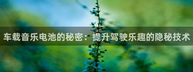优发国际是大平台吗
